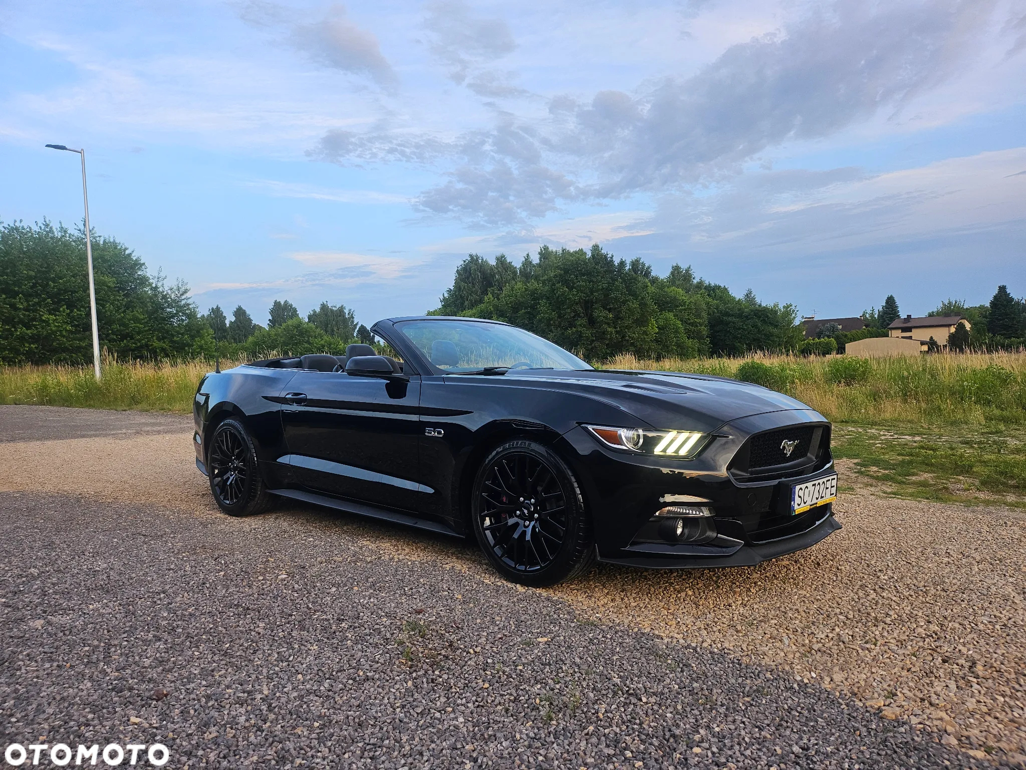 Ford Mustang - 25