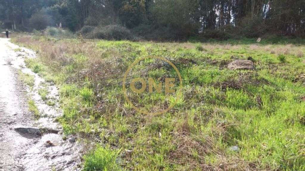 Terreno  para Venda - Grande imagem: 4/5