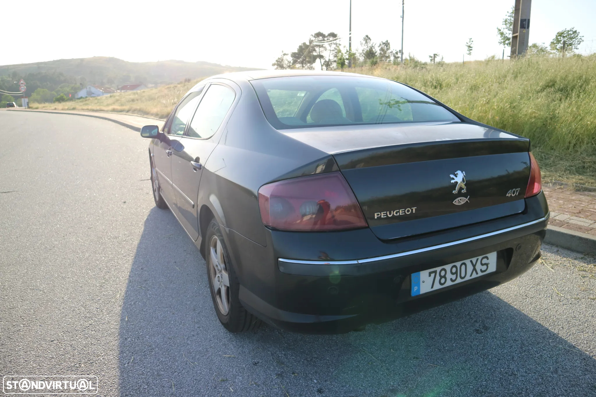 Peugeot 407 2.0 HDi Executive - 10