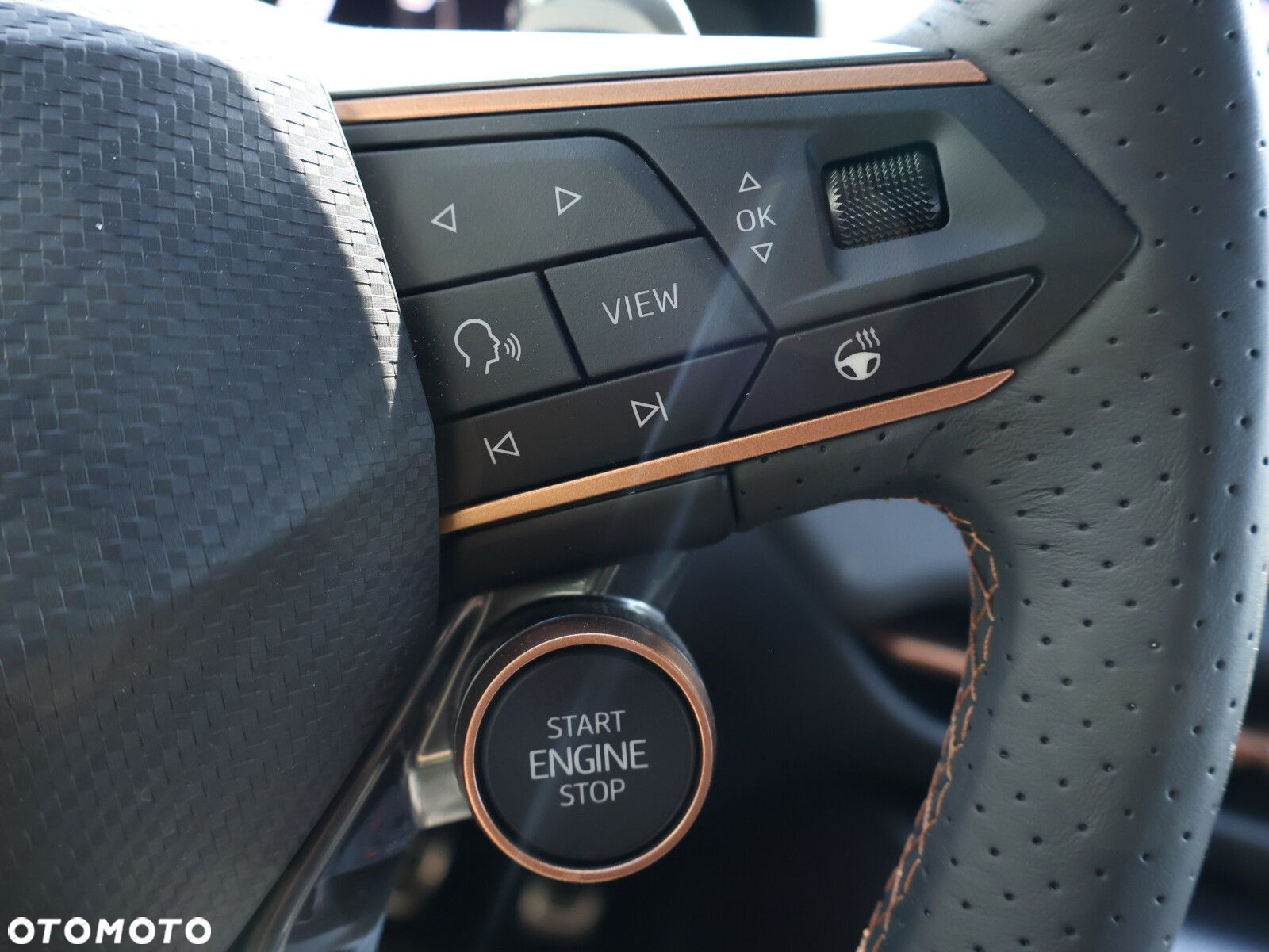 Cupra Terramar - 21