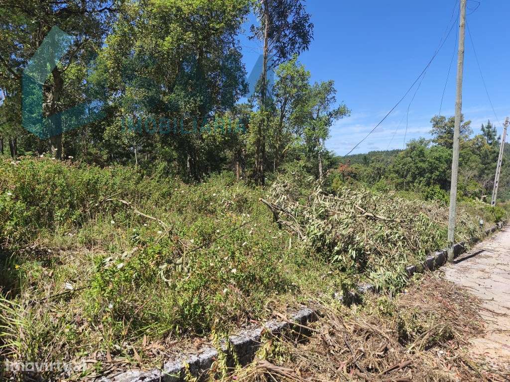 Terreno com PIP Aprovado para Construção de 5 Moradias - Cadaval - Grande imagem: 3/14