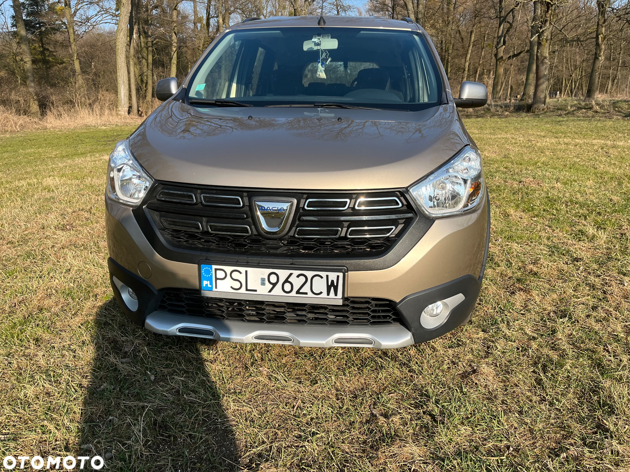 Dacia Lodgy Blue dCi 115 (7-Sitzer) Stepway Selection Blue - 3