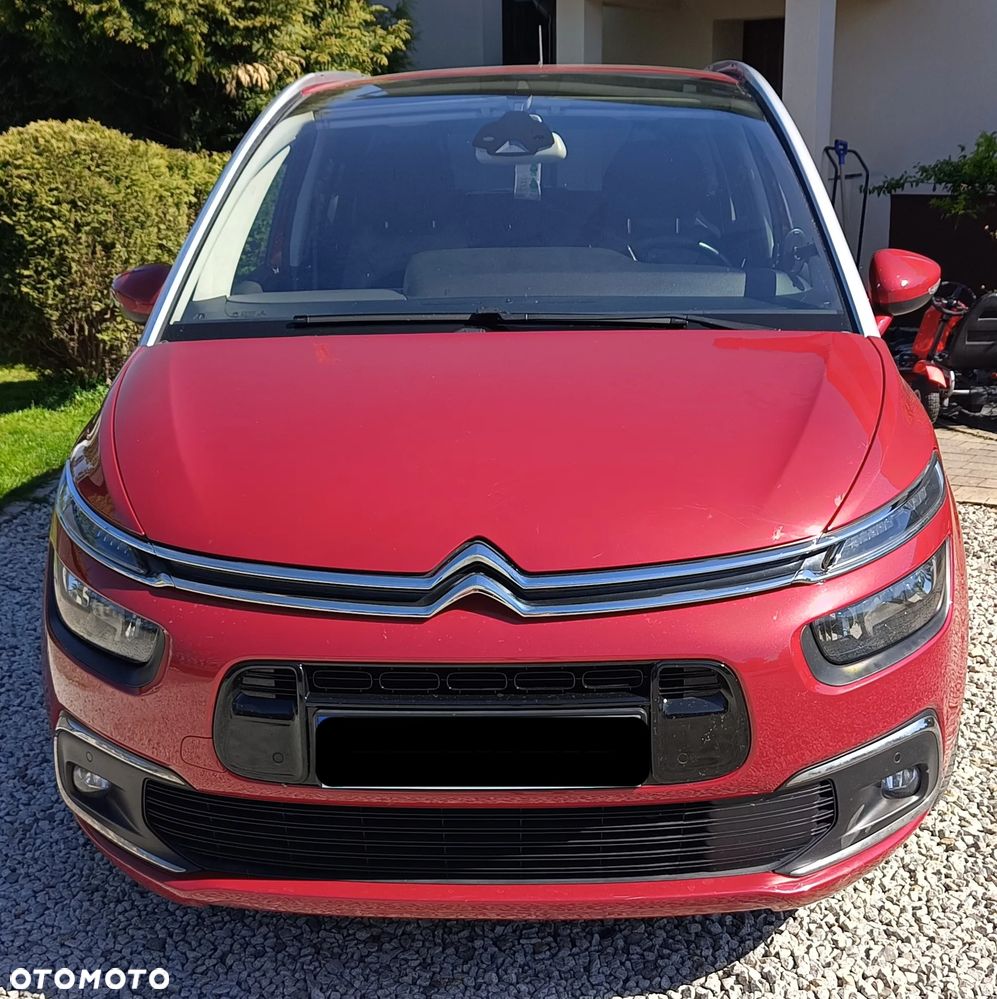 Citroen C4 Spacetourer 2019 photo 4