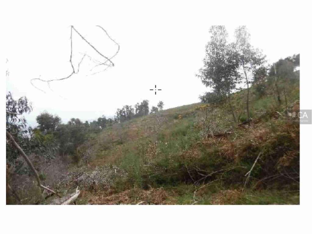 Terreno - Grande imagem: 2/2
