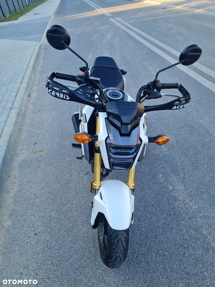 Honda MSX 125 - 5