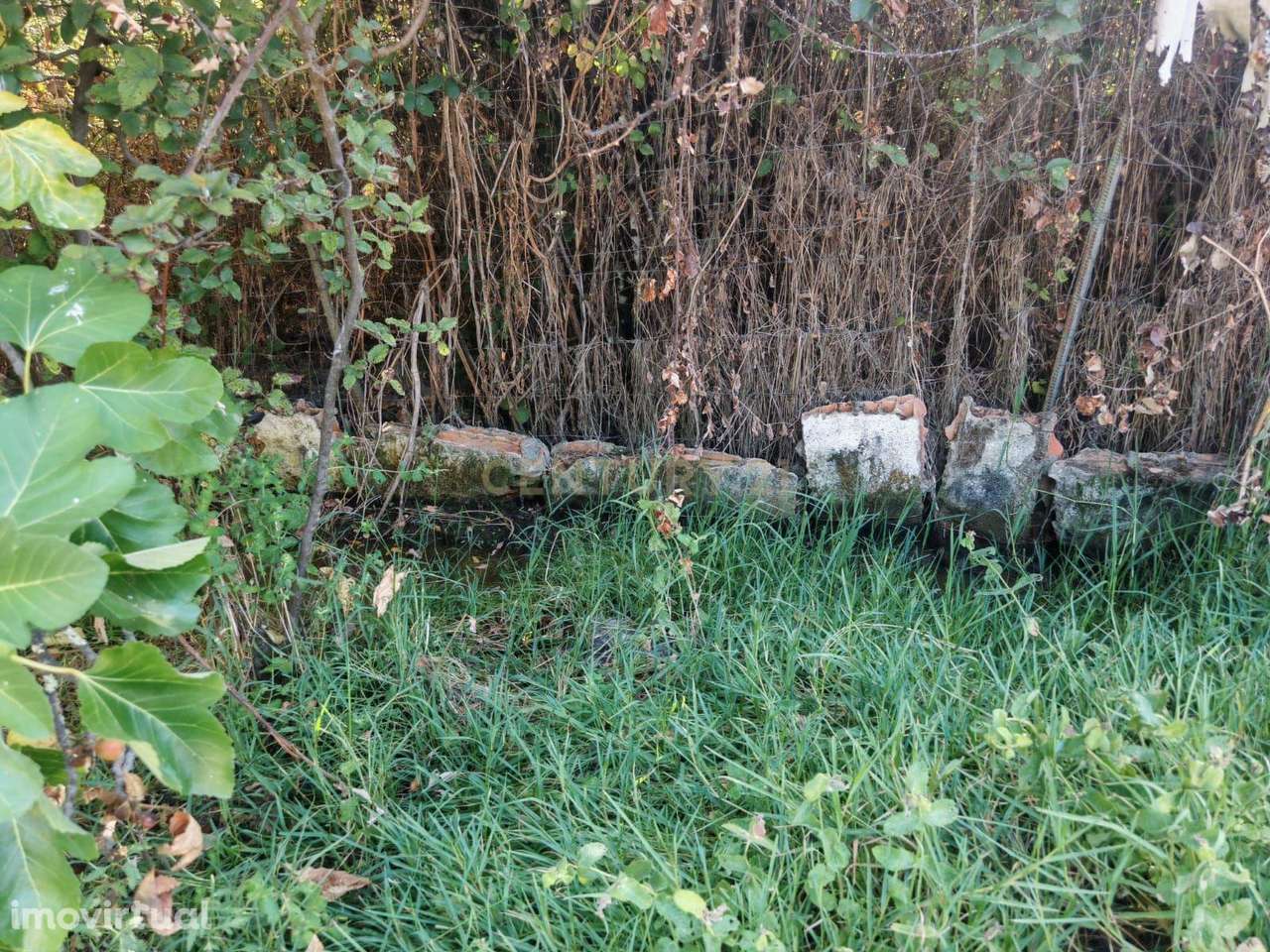 Terreno campestre localizado Aldeia Bispo, Penamacor - Grande imagem: 2/5