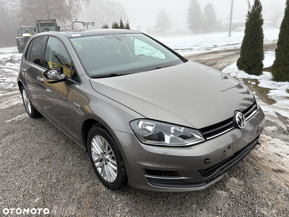 Volkswagen Golf 1.6 TDI BlueMotion Technology Cup - 7