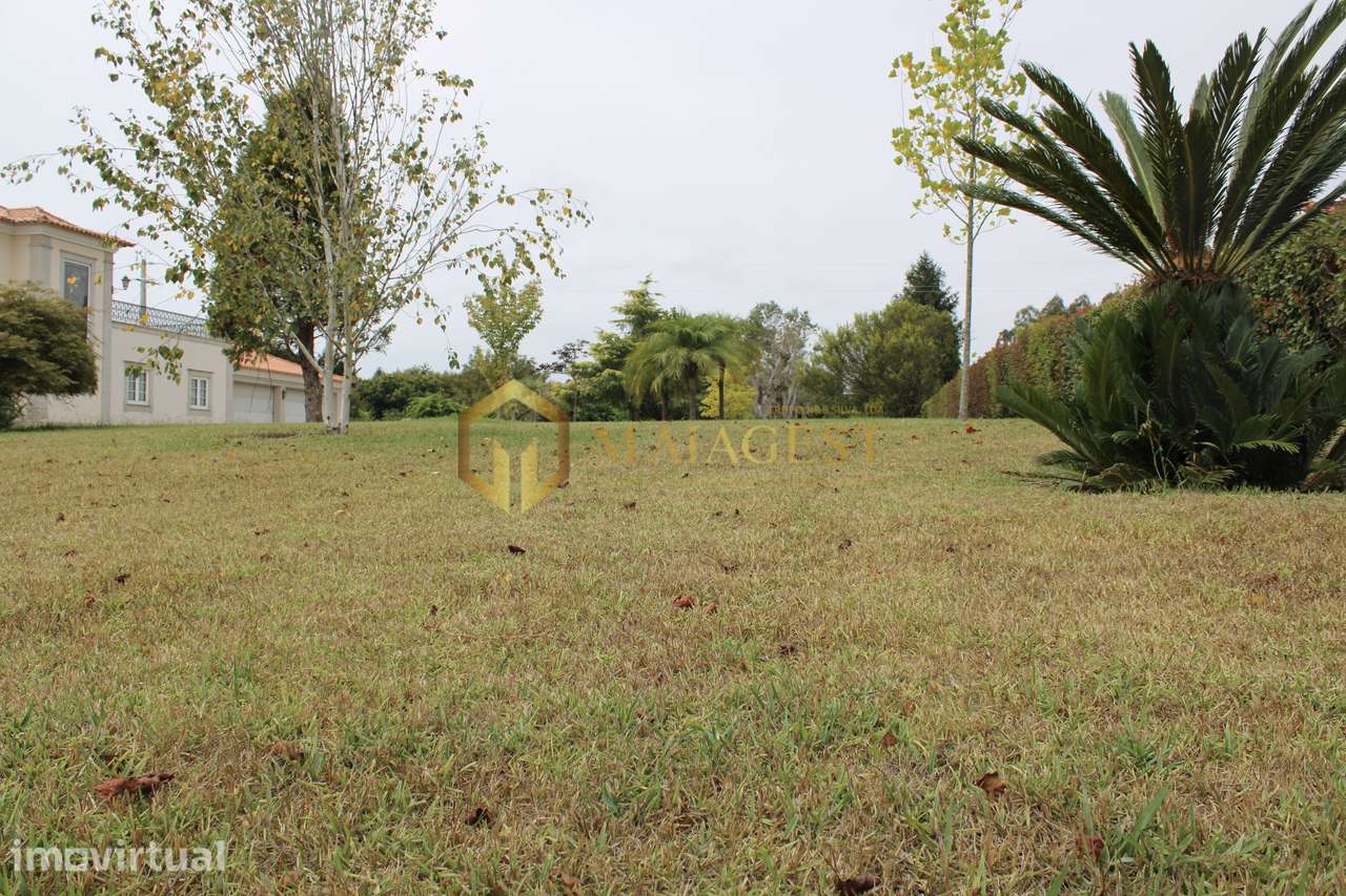 Moradia T3 Clássica com 8.450 m² de Terreno e Privacidade Total - Grande imagem: 5/59