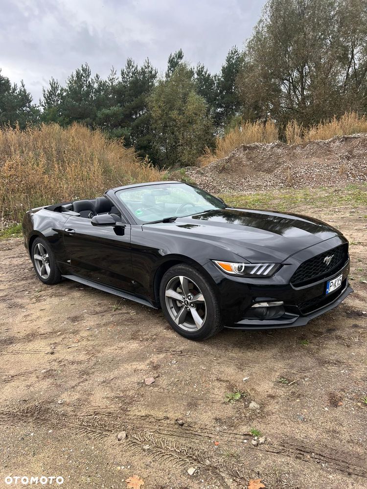 Ford Mustang 5.0 Ti-VCT V8 Black Shadow Edition - 7