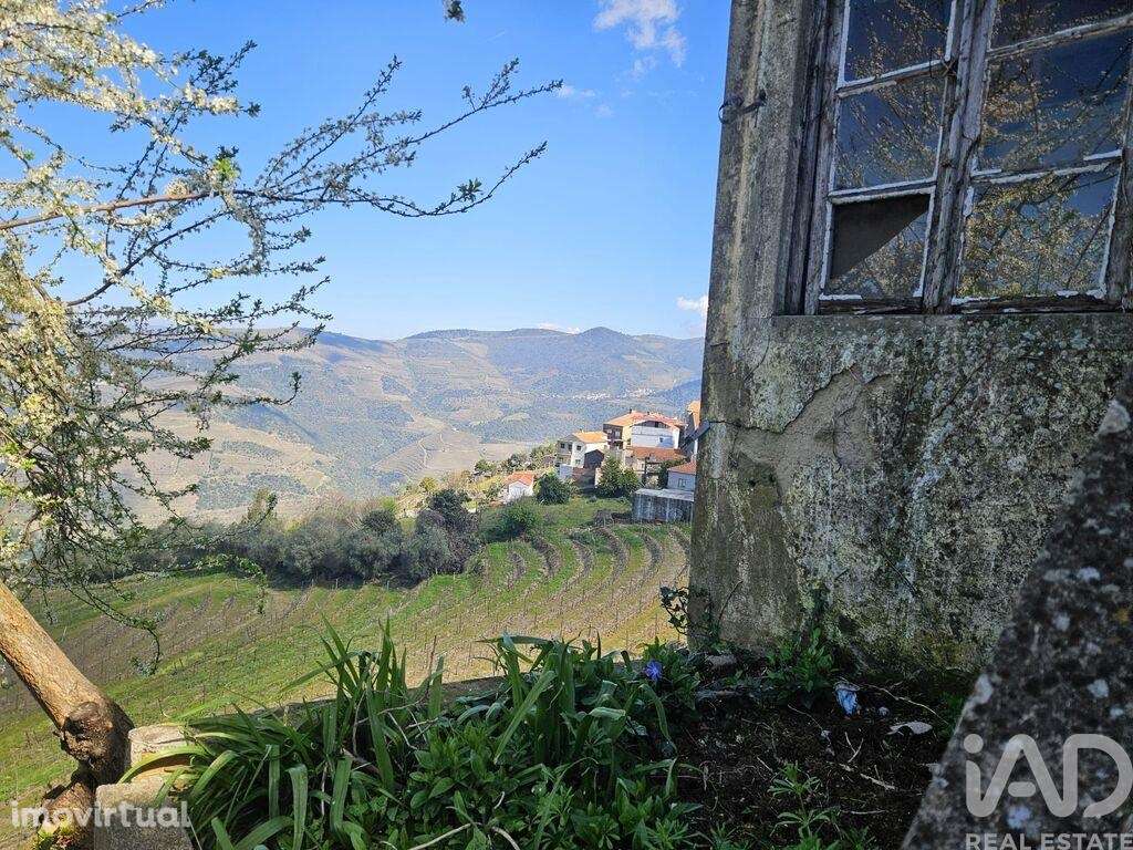 Casa / Villa em Tabuaço de 350 m2 - Grande imagem: 5/17