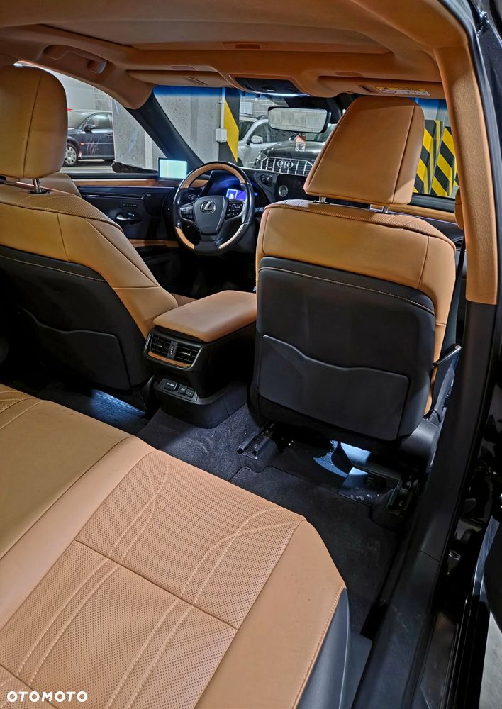Lexus ES 300h Omotenashi - 14