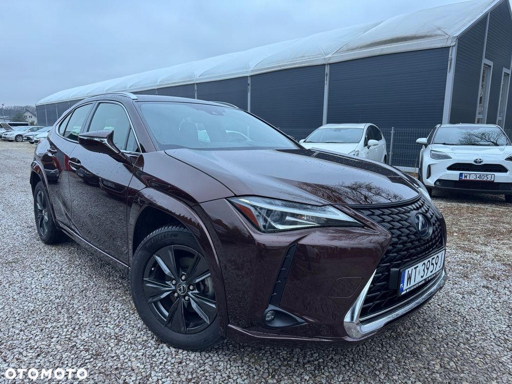 Lexus UX 250h Elegance 2WD - 2