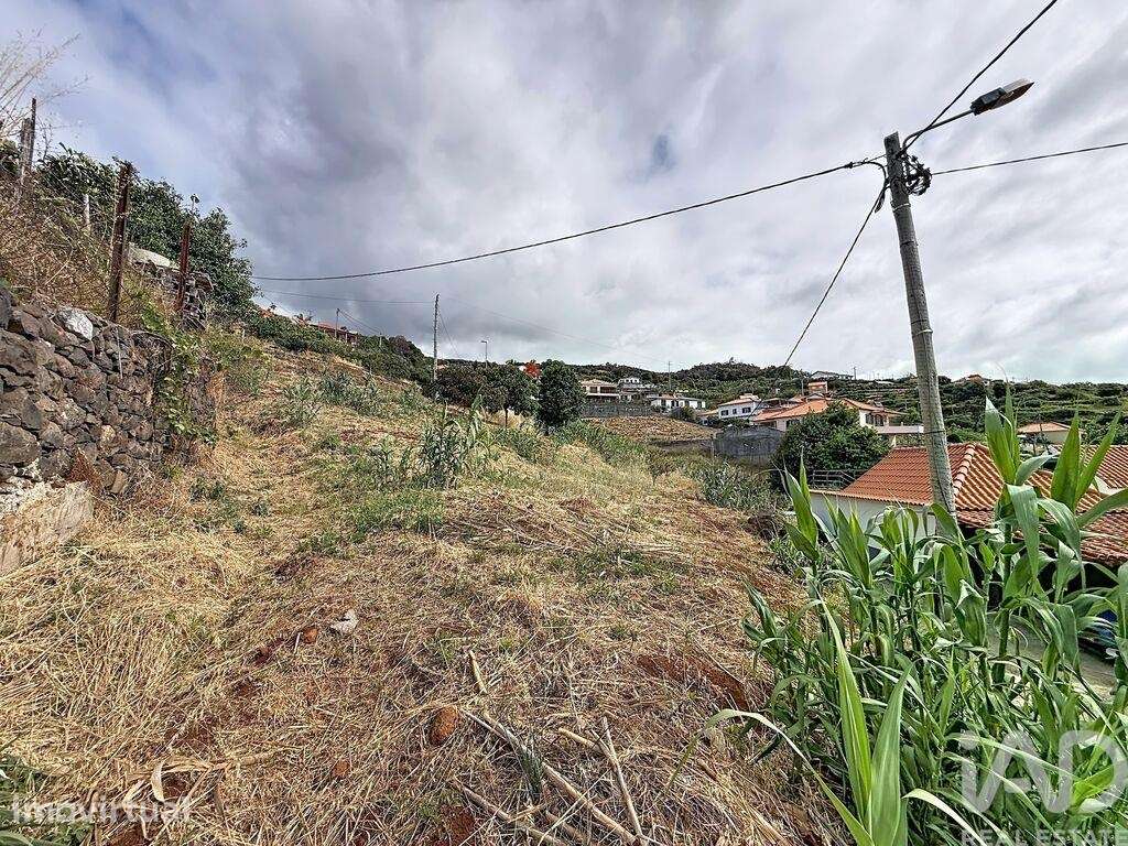 Terreno para construção em Santa Cruz - Grande imagem: 5/6
