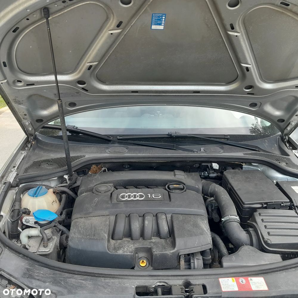 Audi A3 3-drzwiowe 1.6 Ambiente - 12
