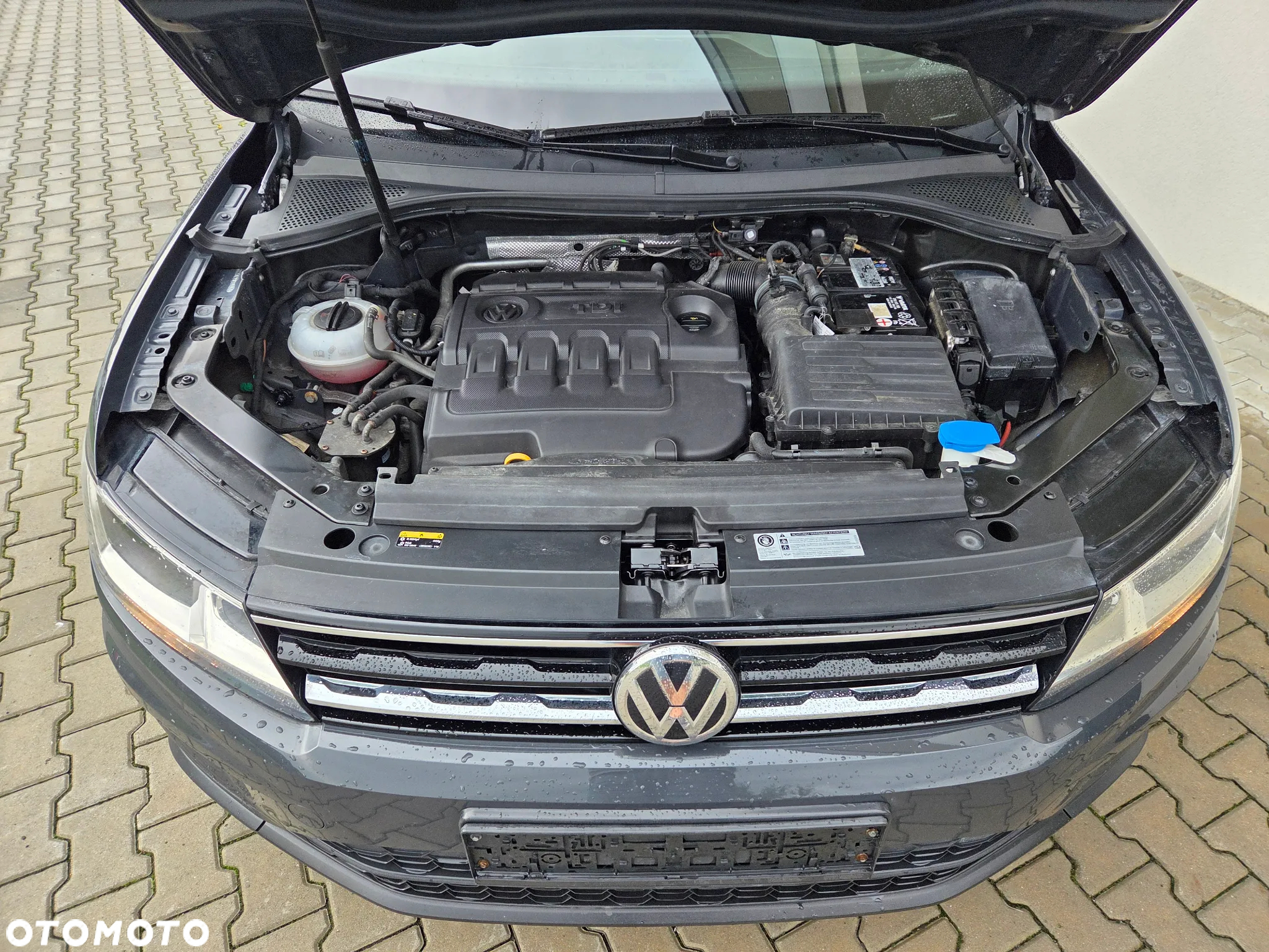 Volkswagen Tiguan - 18