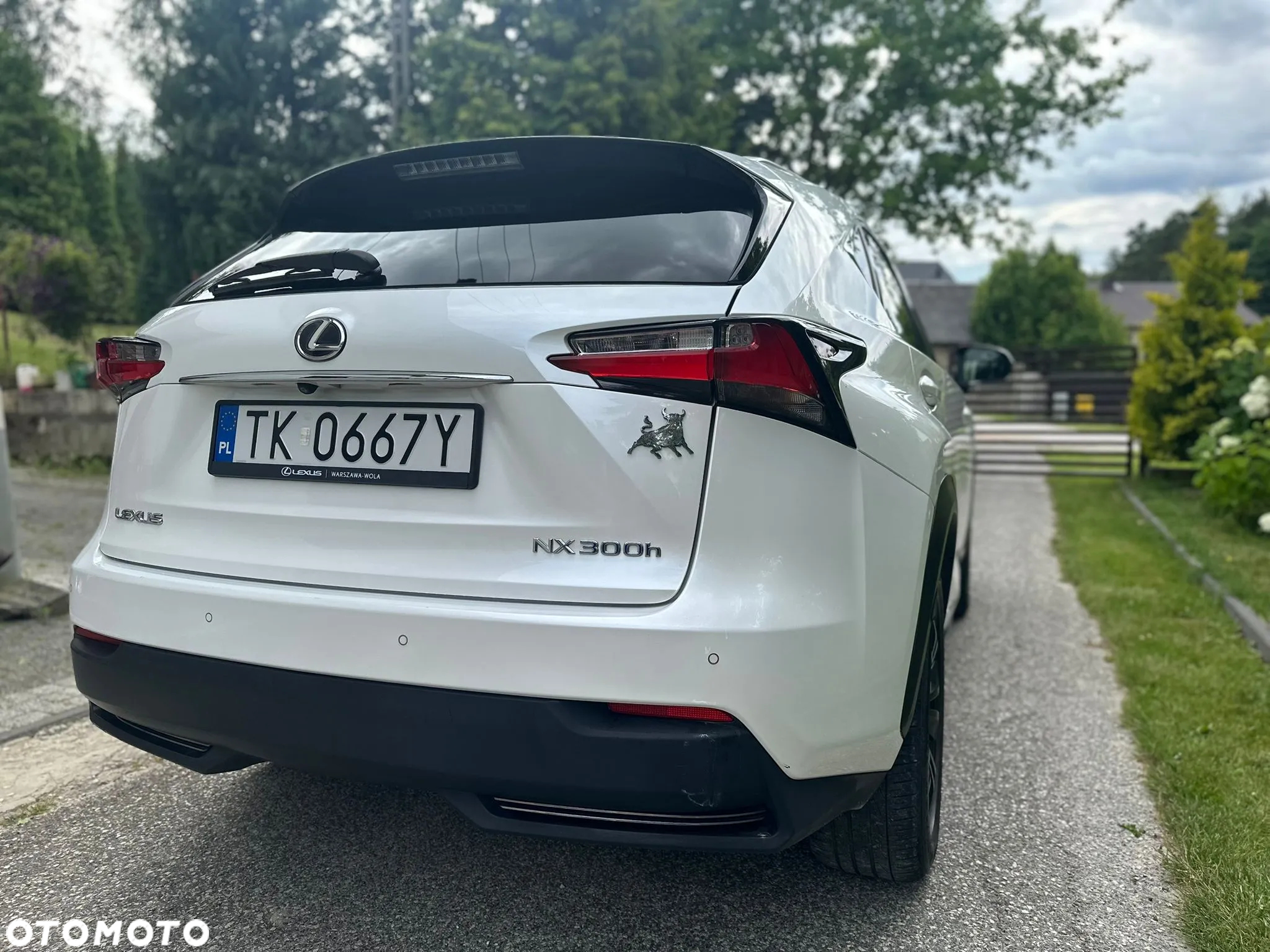 Lexus NX 300h - 17