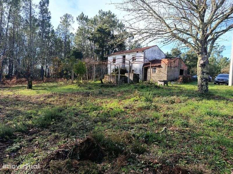 Vende-se quinta Cabeçudo, Sertã - Grande imagem: 2/12