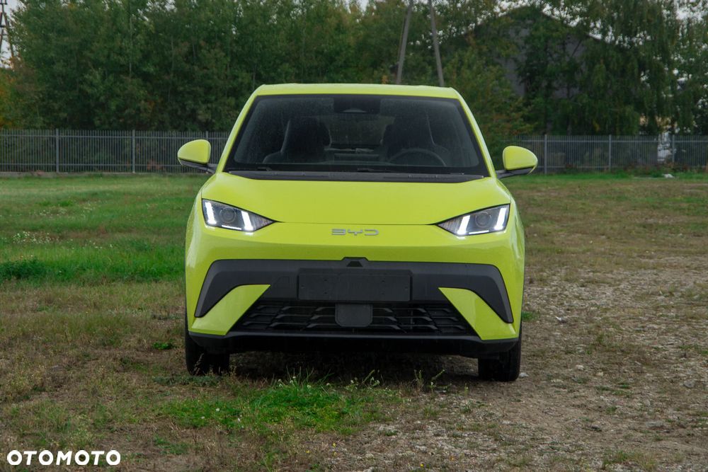 BYD Dolphin Surf - 2