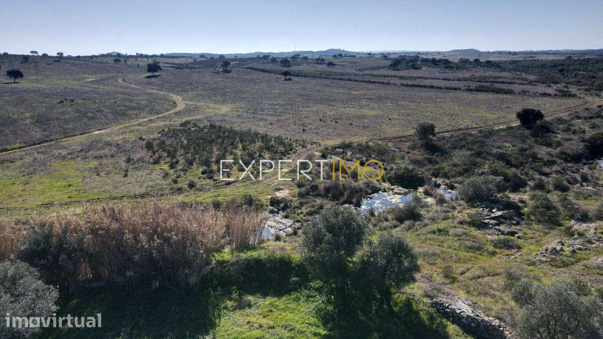 Terreno com 4,9 hectares-Atravessado por Ribeira-Santa... - Grande imagem: 3/14