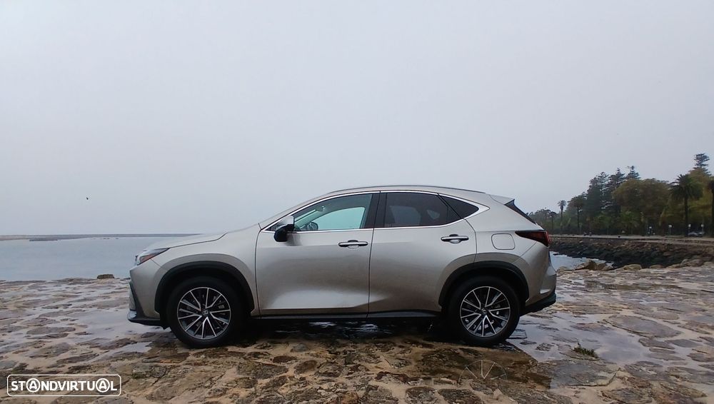 Lexus NX 450h+ - 6