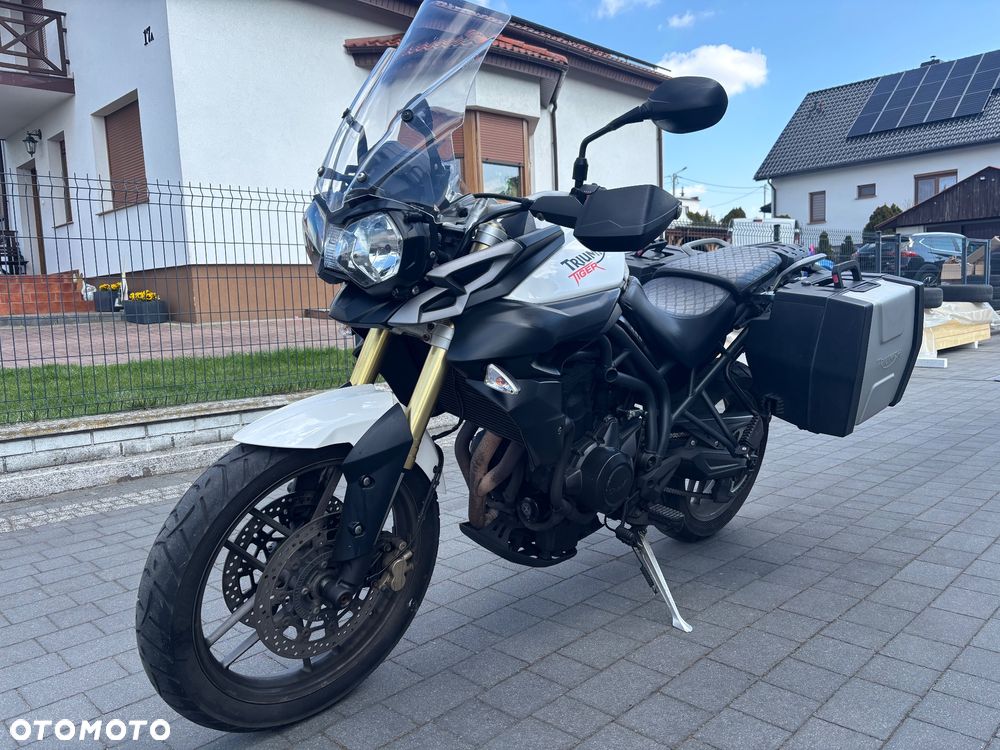 Triumph Tiger - 8