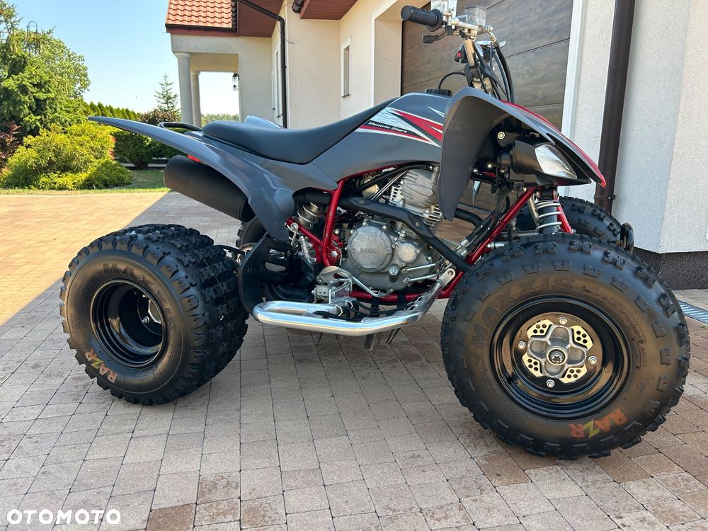 Yamaha Raptor - 22