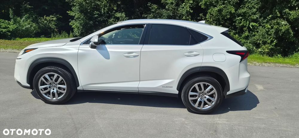 Lexus NX 300h Business Edition AWD - 6
