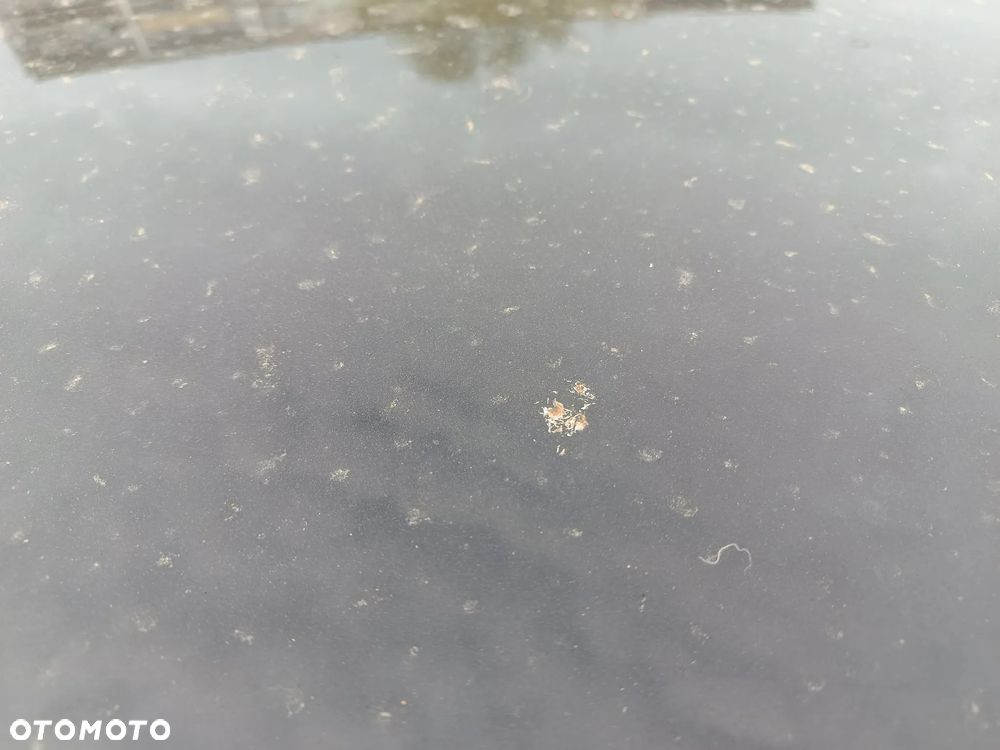 Renault Clio 1.2 16V 75 LIMITED - 14