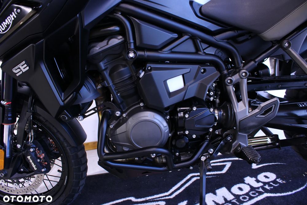 Triumph Tiger - 27