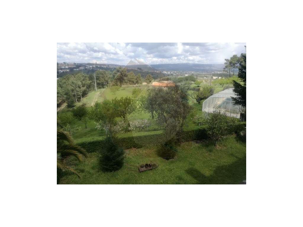 QUINTA AGRICOLA - CELORICO DA BEIRA - Grande imagem: 3/24