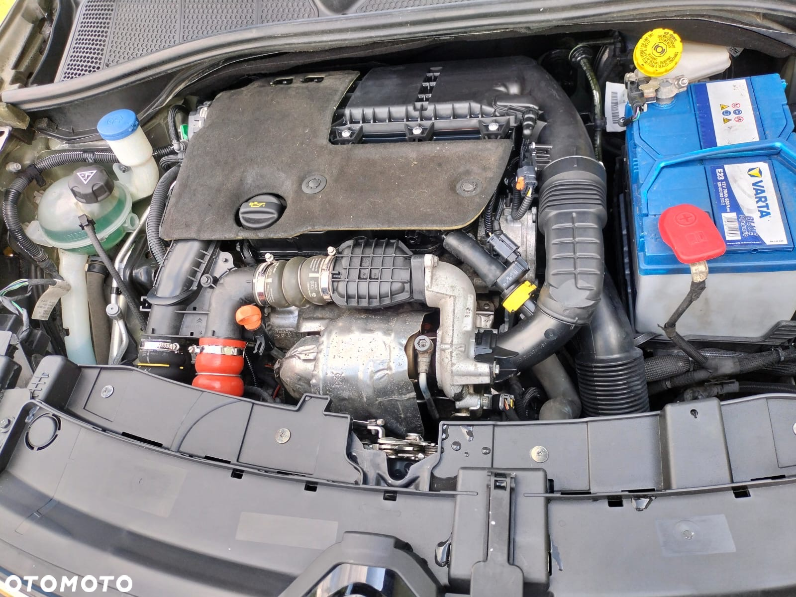 Citroën C4 Cactus 1.6 BlueHDi Live - 22