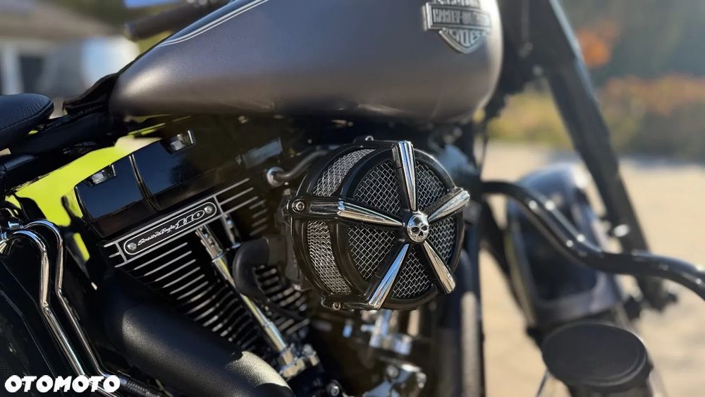 Harley-Davidson Softail Slim - 13