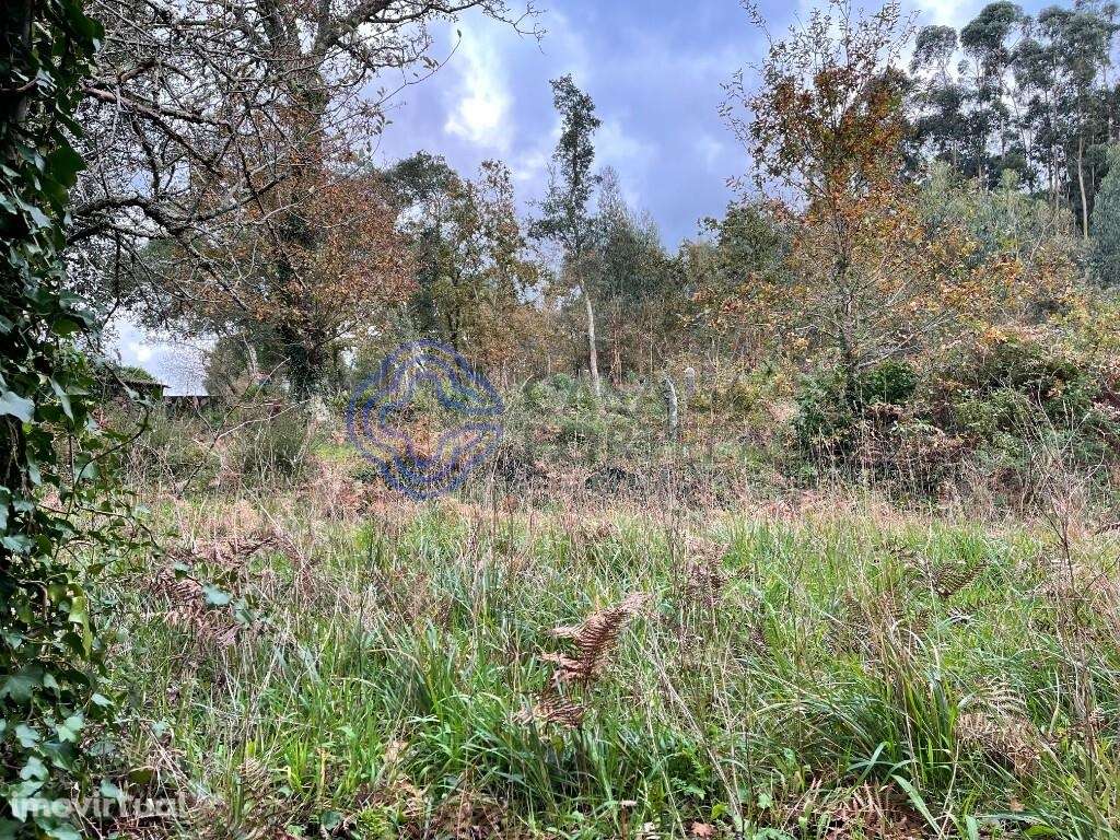 Moradia para recuperar com terreno de 6500 m2 - Grande imagem: 4/9