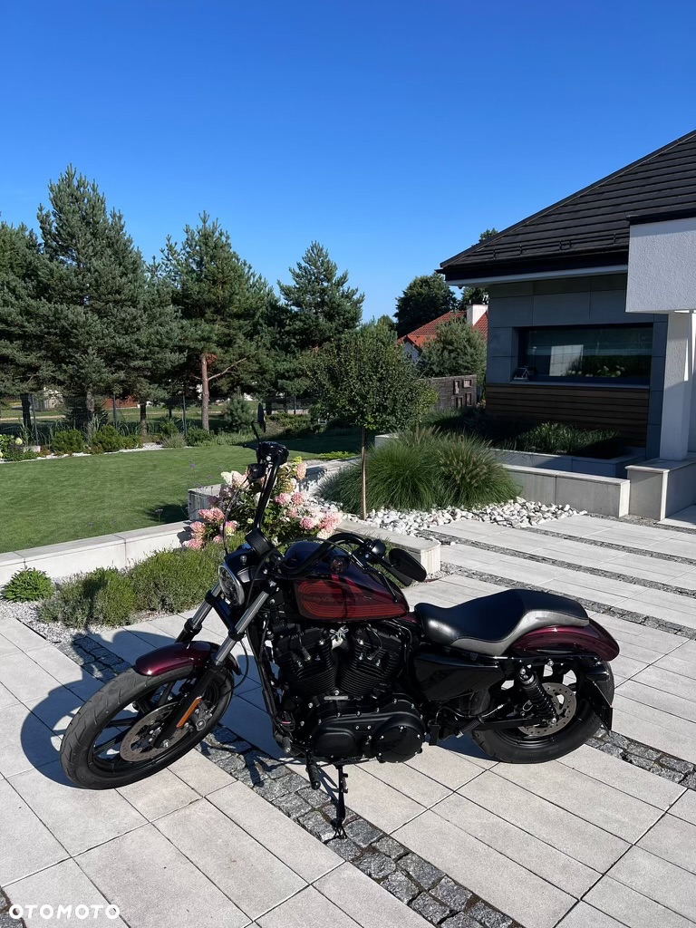 Harley-Davidson Sportster Iron 1200 - 9