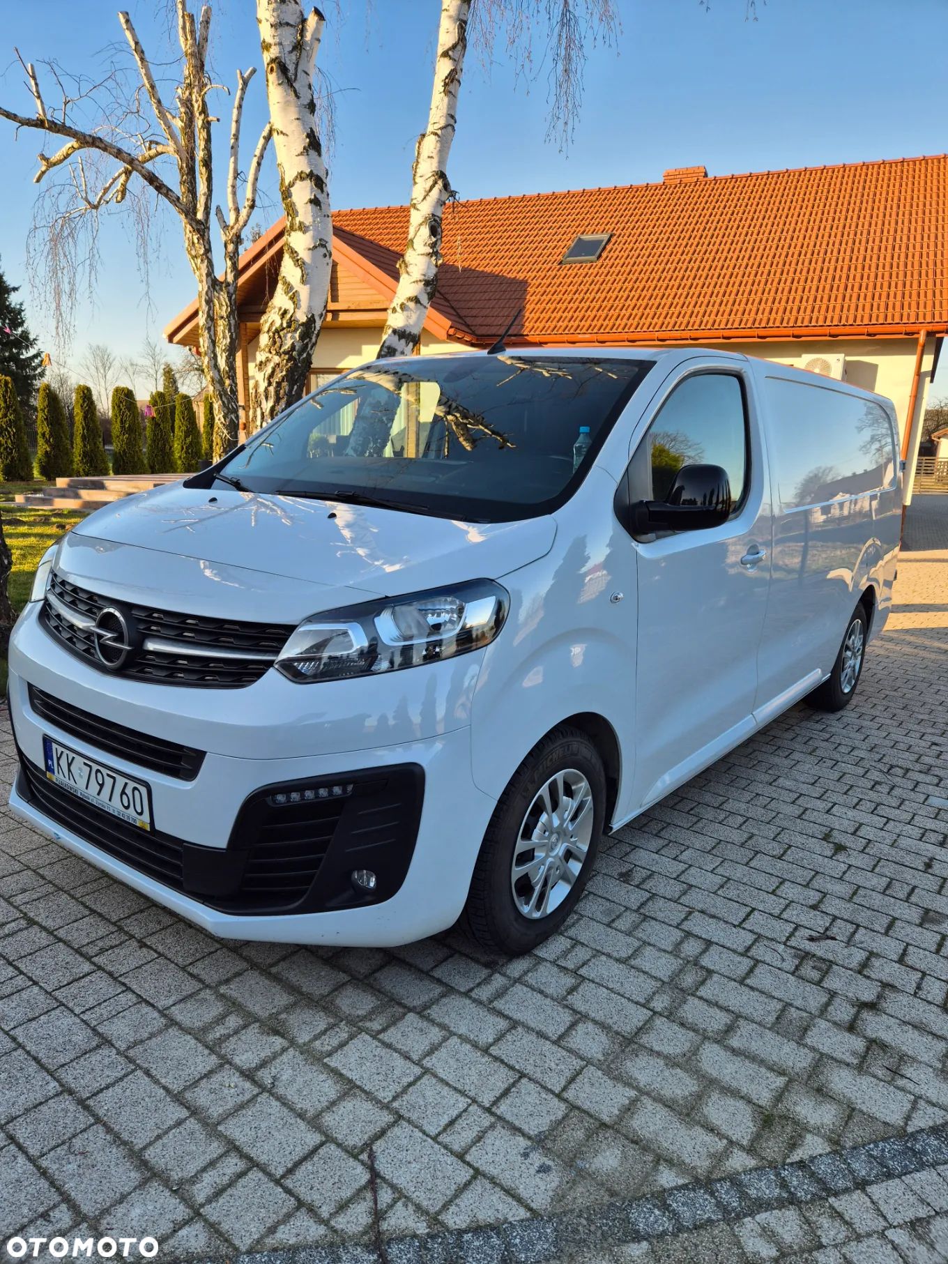 Opel Vivaro - 1