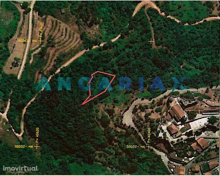 ANG407 - Terreno com 9900m2 para construção em Penela - Grande imagem: 3/3
