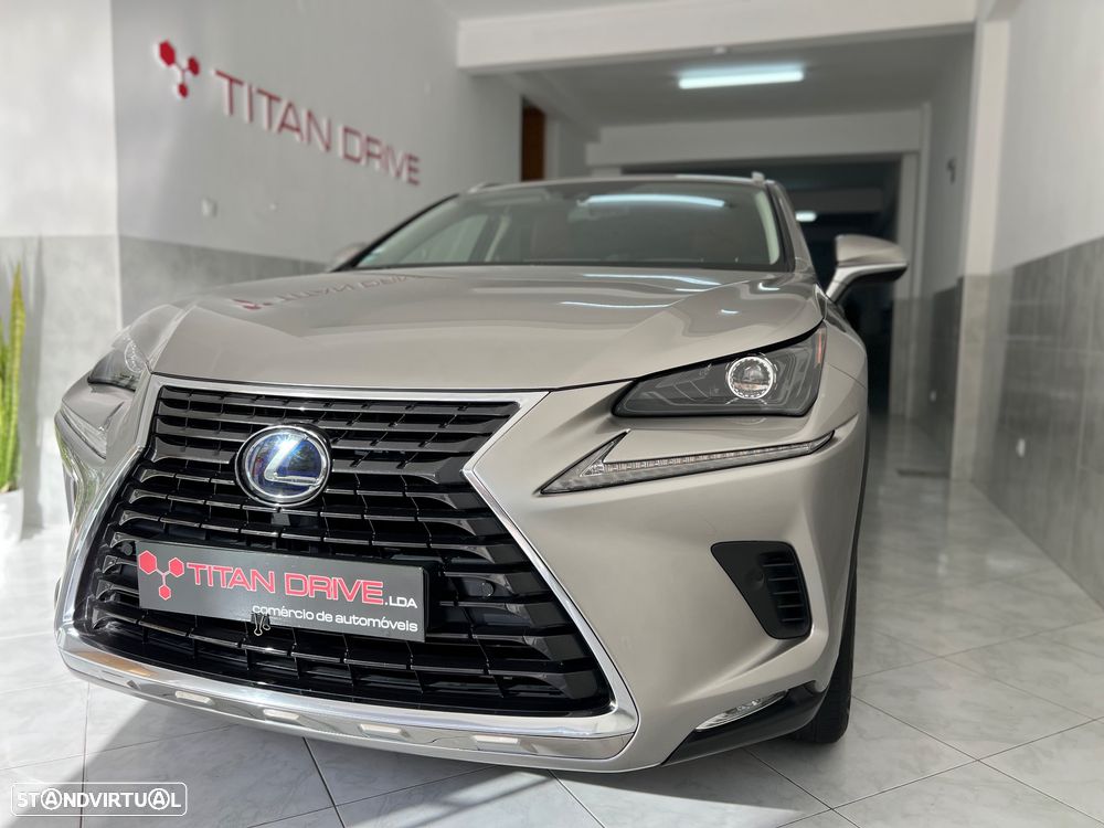 Lexus NX 300h Business - 11