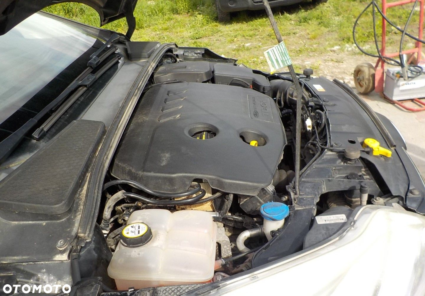 Ford Focus - 7