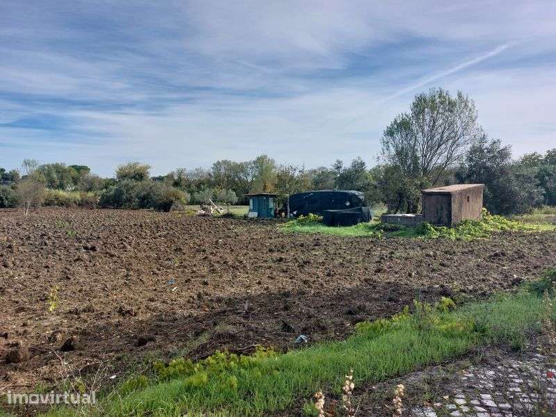2 terrenos Contíguos com 6 mil m2, com caravana de 8m - Grande imagem: 4/12