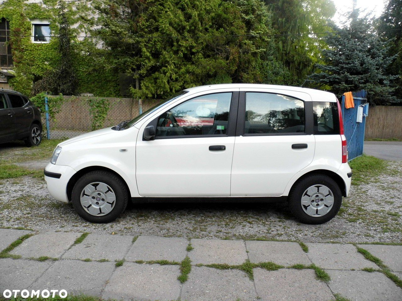 Fiat Panda - 2