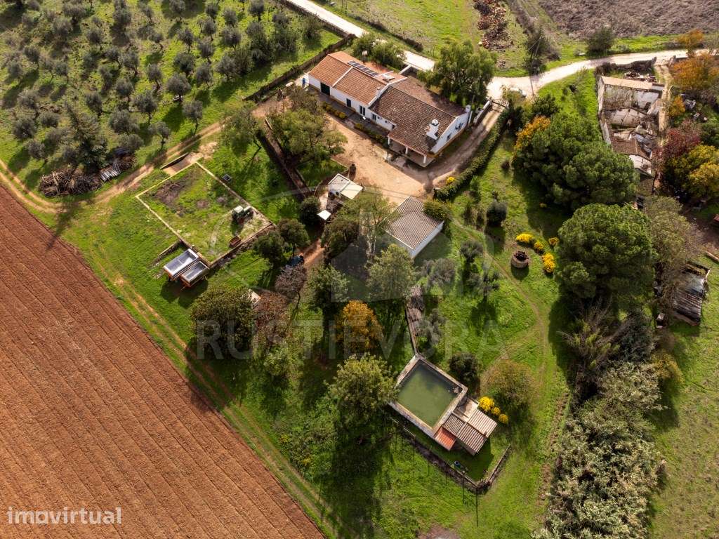 Quinta com 5,9 ha a 3 km de Borba - Tranquilidade, Privacidade e Po... - Grande imagem: 2/56