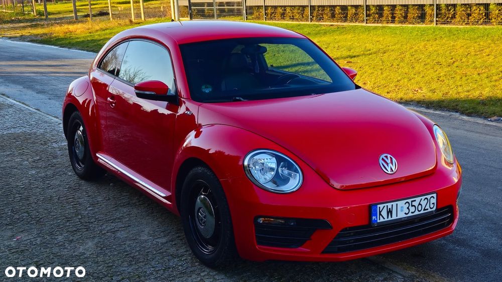 Volkswagen Beetle - 7