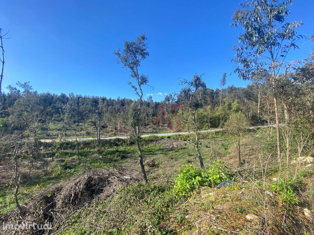 Terreno de Construção com 3.109m2 em Sousela, Lousada - Grande imagem: 3/6