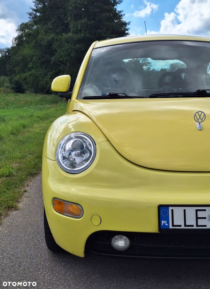 Volkswagen Beetle - 32