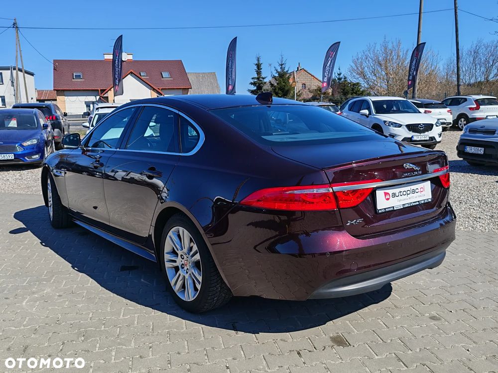 Jaguar XF E-Performance Pure - 5