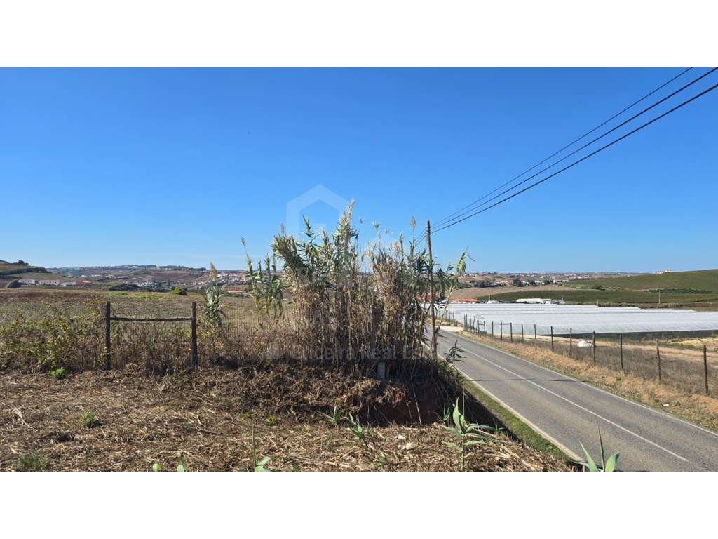 Vende Terreno - Ericeira 20 Km, A Casa das Casas - Grande imagem: 3/7