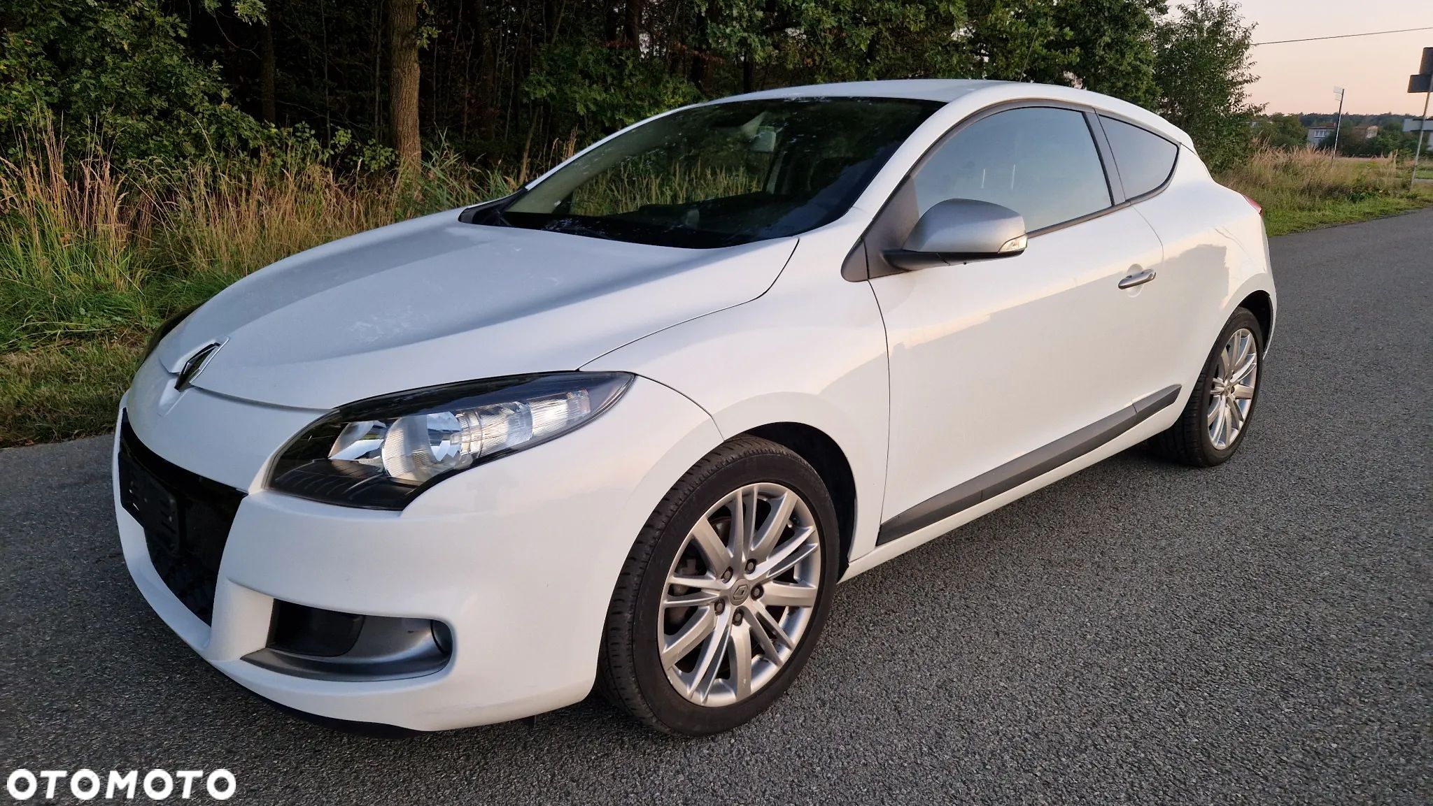 Renault Megane - 1