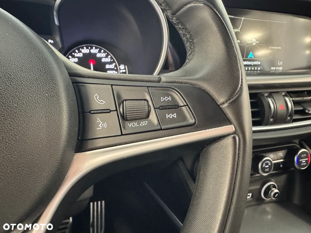 Alfa Romeo Stelvio 2.0 Turbo TI Q4 - 18