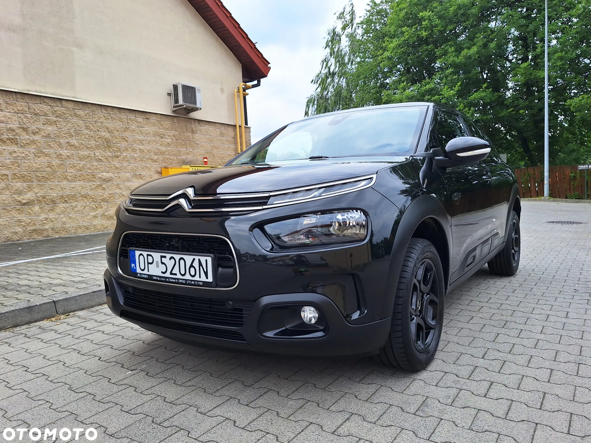 Citroën C4 Cactus 1.2 PureTech Shine S&S - 5