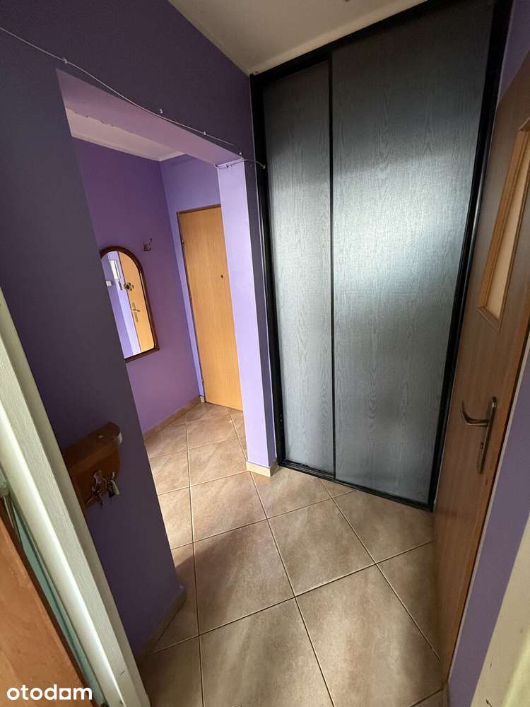 Dwupokojowe mieszkanie z oddzielną kuchnią, 31 m² - Pełny obrazek: 5/12